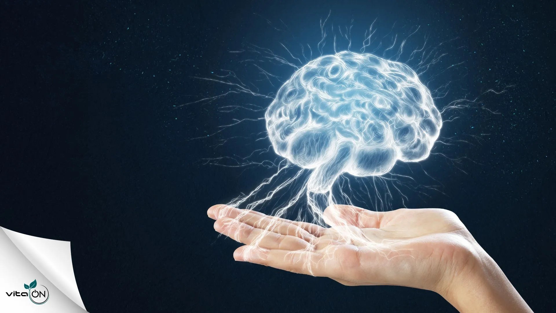 ¿Qué es la niebla mental y cómo se trata?