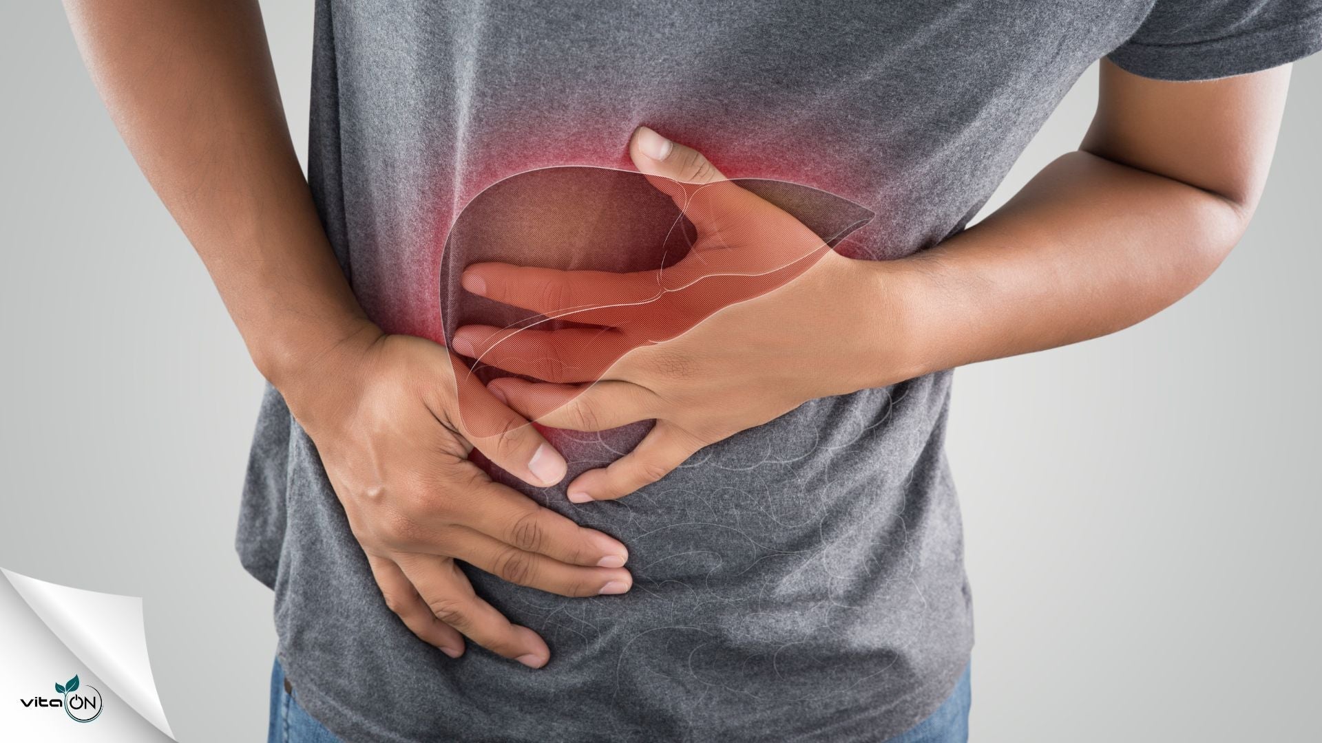 ¿Cuál es la mejor medicina para el hígado?