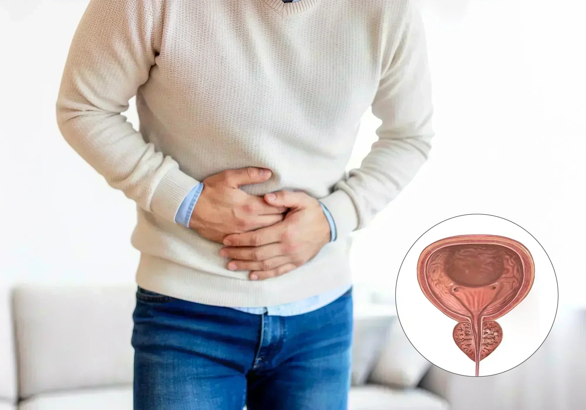 Котешка стъпка и простата: как действа билката върху мъжкото здраве