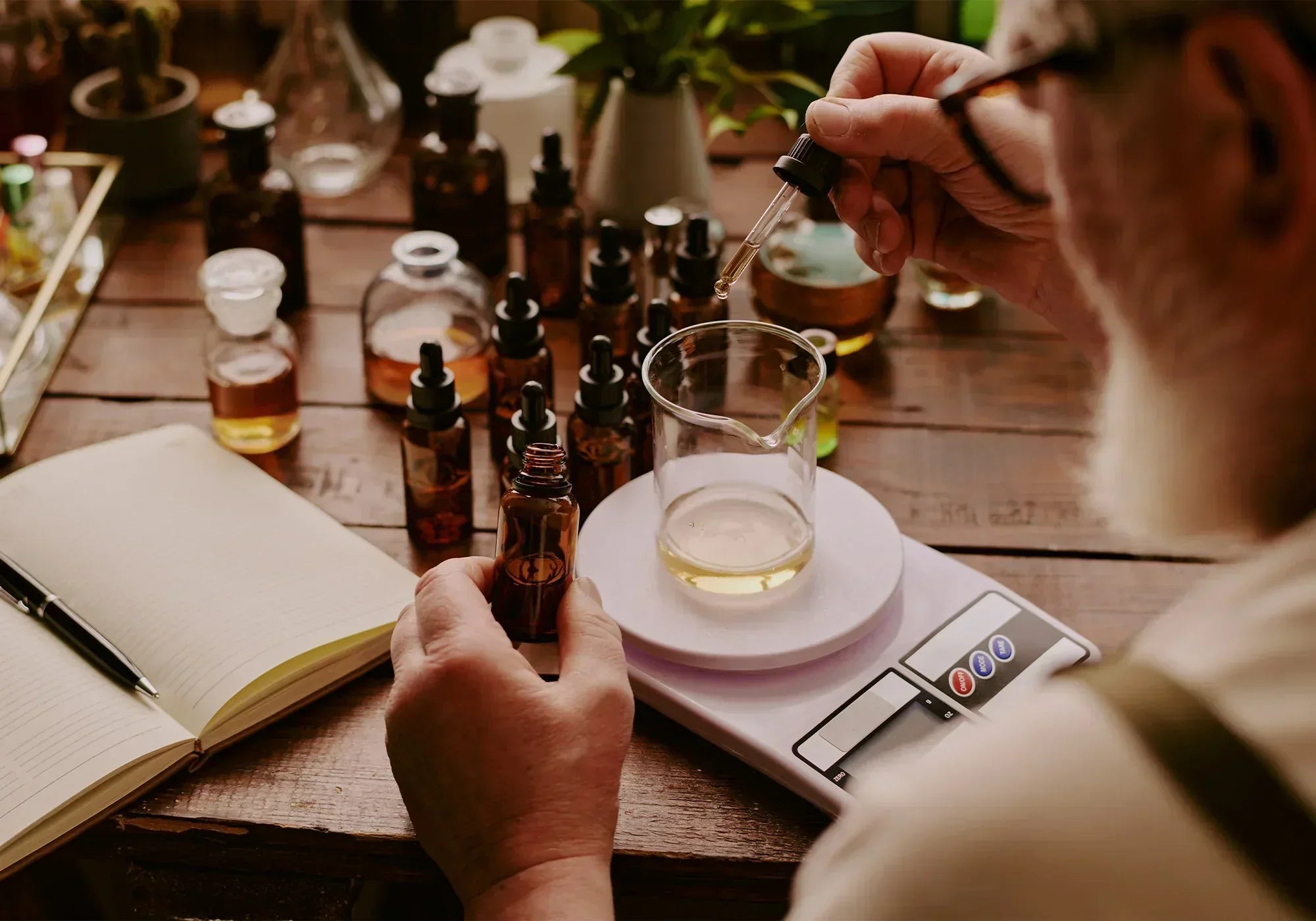 Как се прави тинктура от бабини зъби