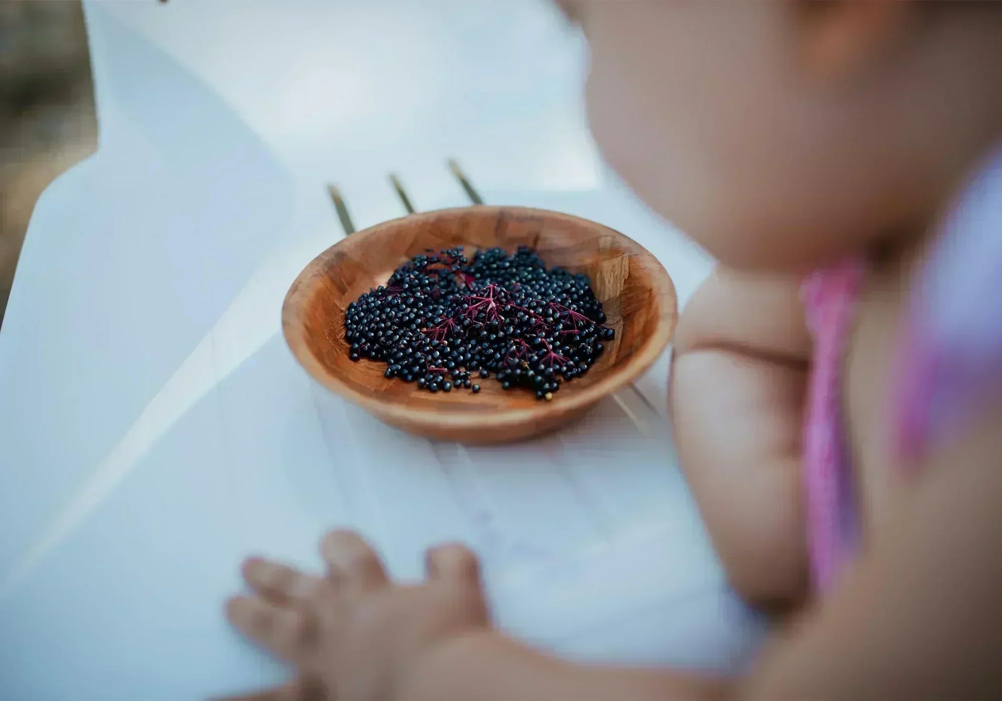 Подходящ ли е черният бъз за деца